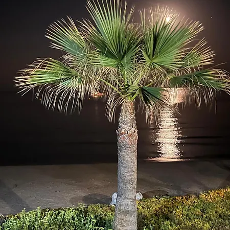 Excepcional Amanecer Al Borde De Playa Y Mar, En Roquetes Apartamento *