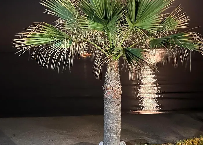 Excepcional Amanecer Al Borde De Playa Y Mar, En Roquetes Appartement *